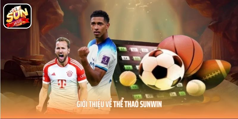 Giới thiệu về thể thao SUNWIN Giới thiệu về thể thao SUNWIN