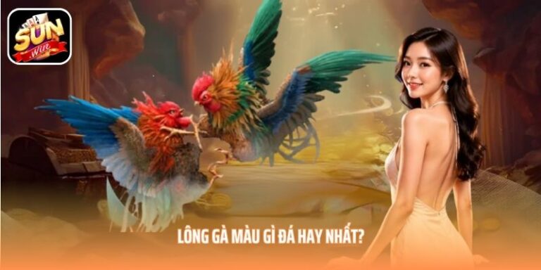 Lông gà màu gì đá hay nhất?