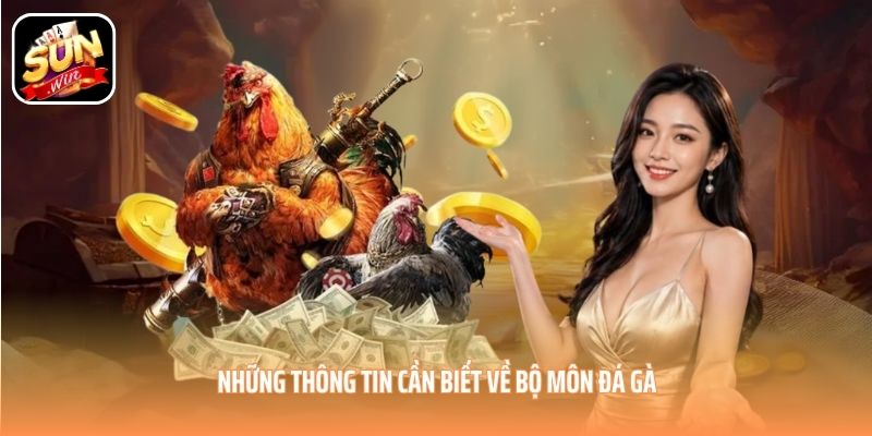 Những thông tin cần biết về bộ môn đá gà Những thông tin cần biết về bộ môn đá gà