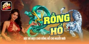 Bật mí mẹo chơi Rồng Hổ cho người mới