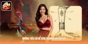 Những tiêu chí để xem chân đá gà cựa sắt